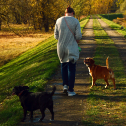Femme en balade avec son chien au pied