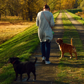 Femme en balade avec son chien au pied