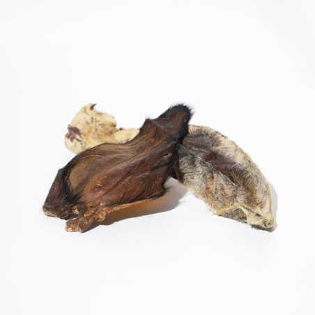 Oreilles de bœuf naturelles pour chien