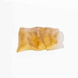 Petite plaque de buffle mastication chien