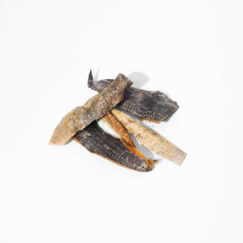 Chips de peau de thon séchée