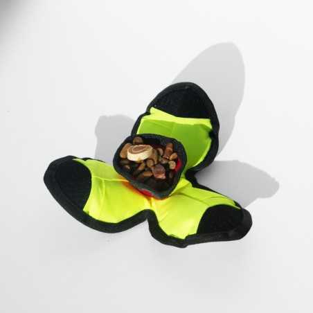 Lotus de fouille pour chien