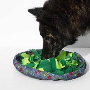 Iska la berger Hollandais passe des heures à chercher ses friandises