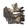 Cuir chevelu de bœuf avec fourrure