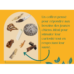 Box spéciale chiot