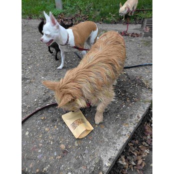 Sachet de friandises pour chiens