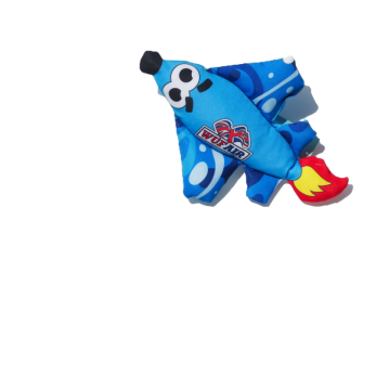 Jouet avion pour chien chiot