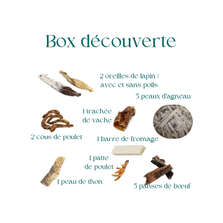 mastication naturelle pour chiot