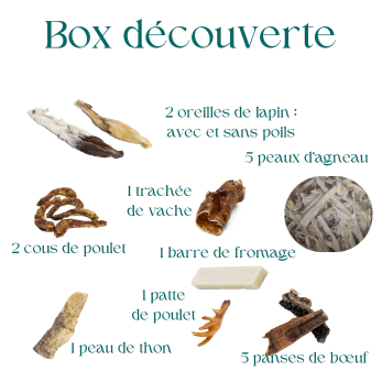 mastication naturelle pour chiot