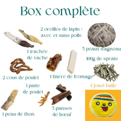 Box friandises de mastication pour chiot avec jouet