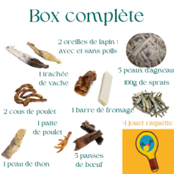 Lot de mastication pour chiot avec jouet raquette