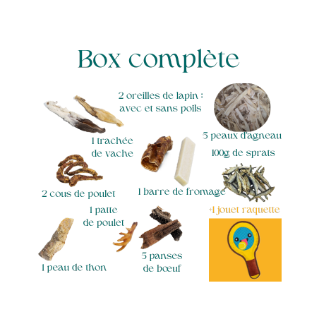 Lot de mastication pour chiot avec jouet raquette