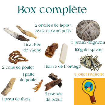 Lot de mastication pour chiot avec jouet raquette