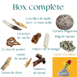 Box de mastication pour chiot avec jouet de fouille