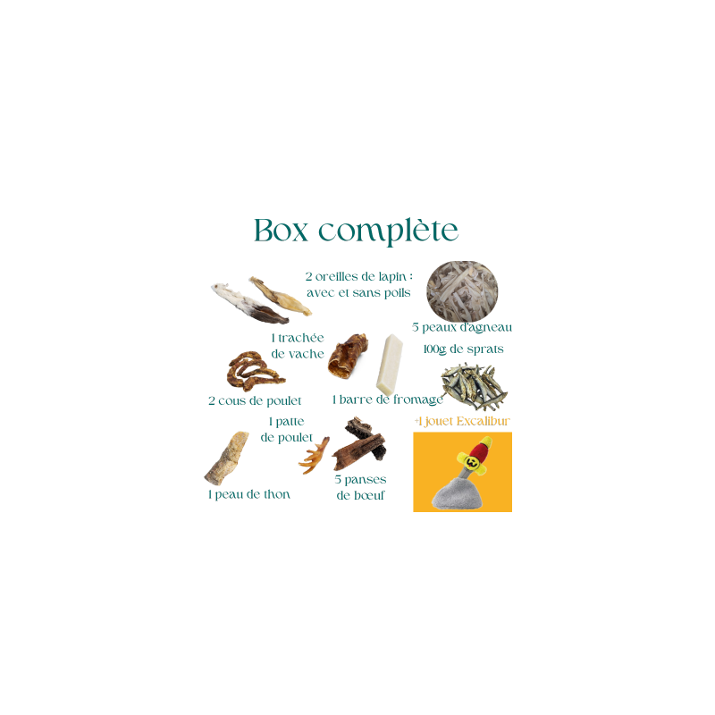 Box de mastication pour chiot avec jouet de fouille