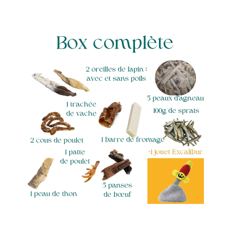 Box de mastication pour chiot avec jouet de fouille