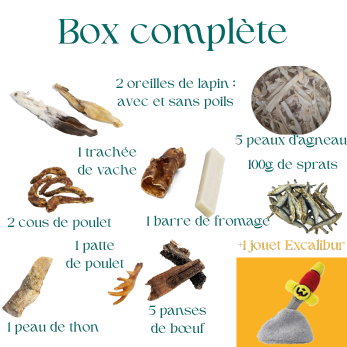 Box de mastication pour chiot avec jouet de fouille