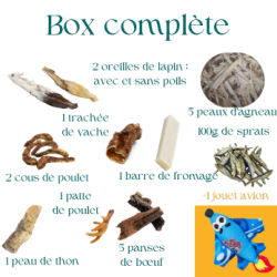 Lot de mastication pour chiot avec avion grinçant