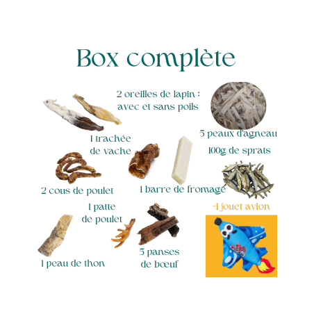 Lot de mastication pour chiot avec avion grinçant