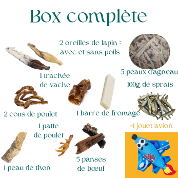 Lot de mastication pour chiot avec avion grinçant