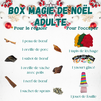 cadeau noël chien mastication stimulation jeux