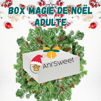 box de noël pour chien adulte mastication