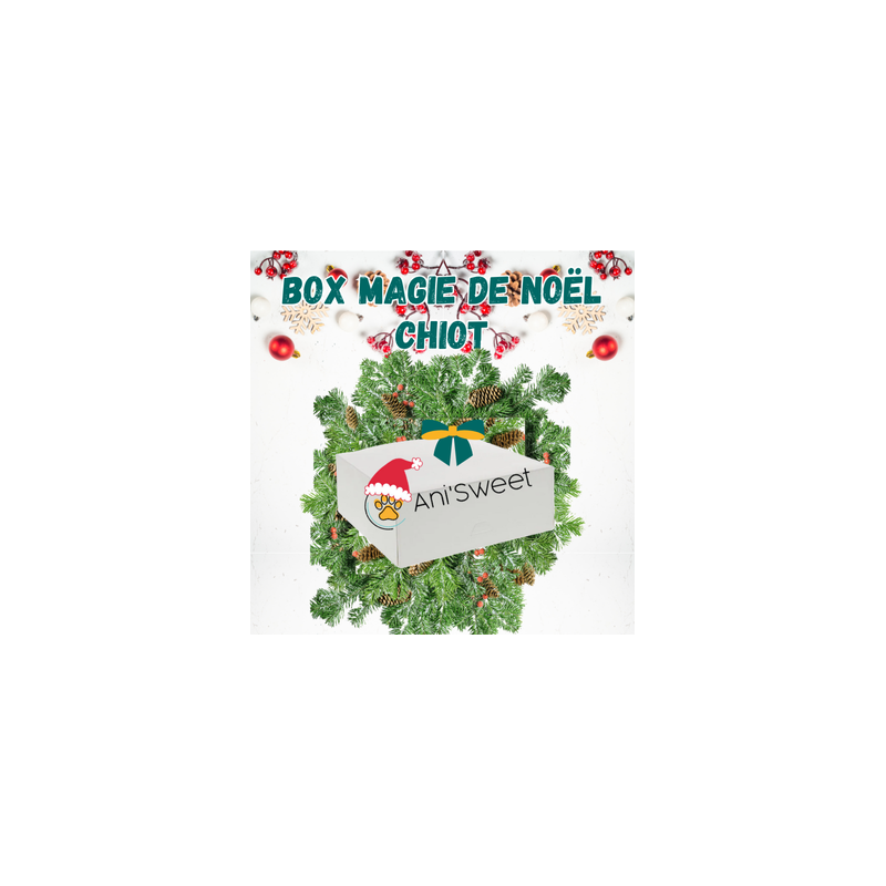 boite cadeau de noël pour chiot
