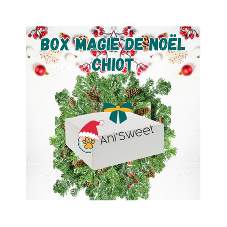 boite cadeau de noël pour chiot