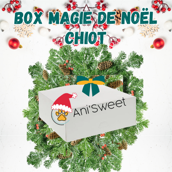 boite cadeau de noël pour chiot