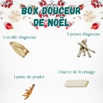 cadeau de noël pour chien mastication chien