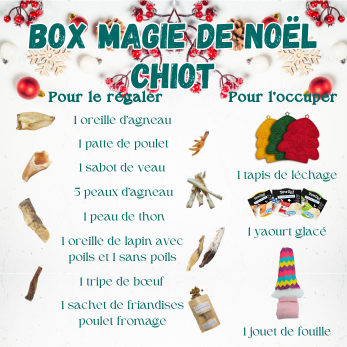 box cadeau pour chiot mastication léchage stimulation jeu d'occupation