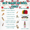 box cadeau pour chiot mastication léchage stimulation jeu d'occupation