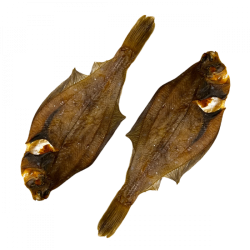 Plie poisson séché pour mastication chien