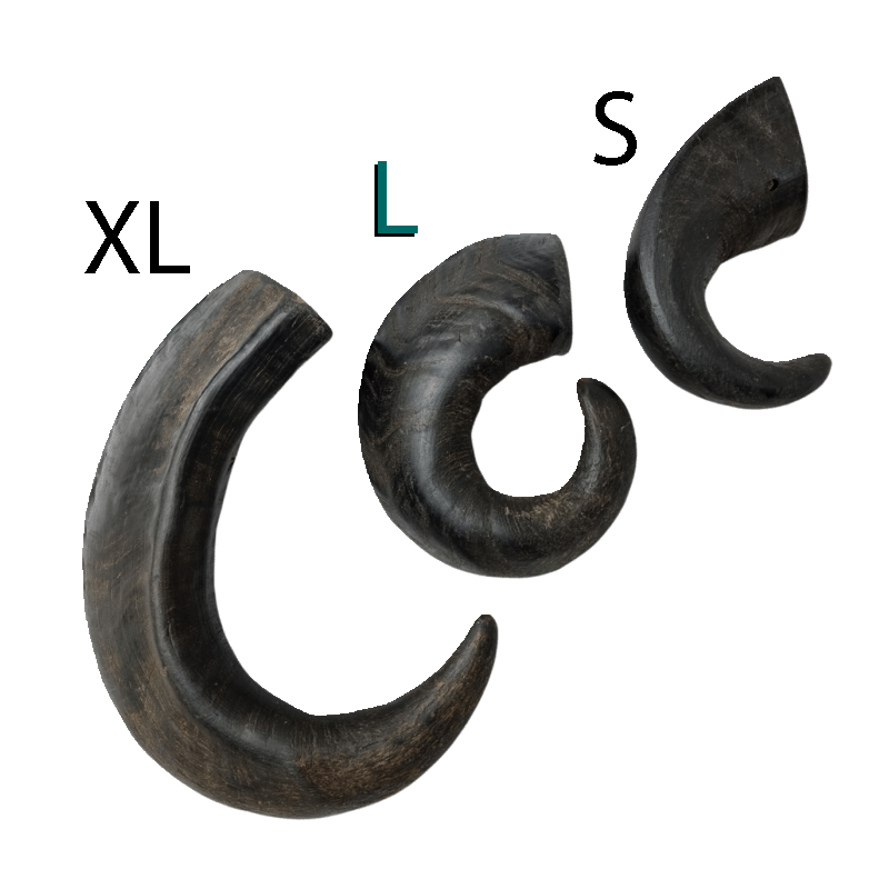 Corne de buffle L pour chien