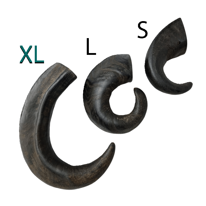 Corne de buffle XL