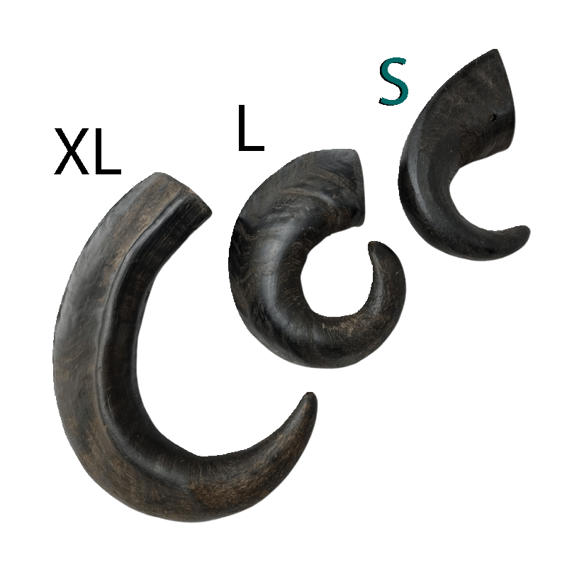 Corne de buffle pour chien taille S