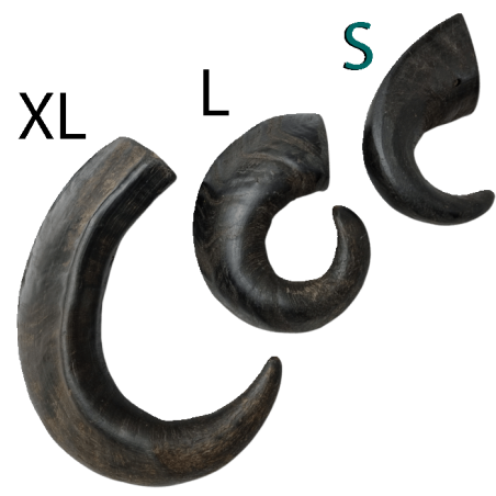 Corne de buffle pour chien taille S