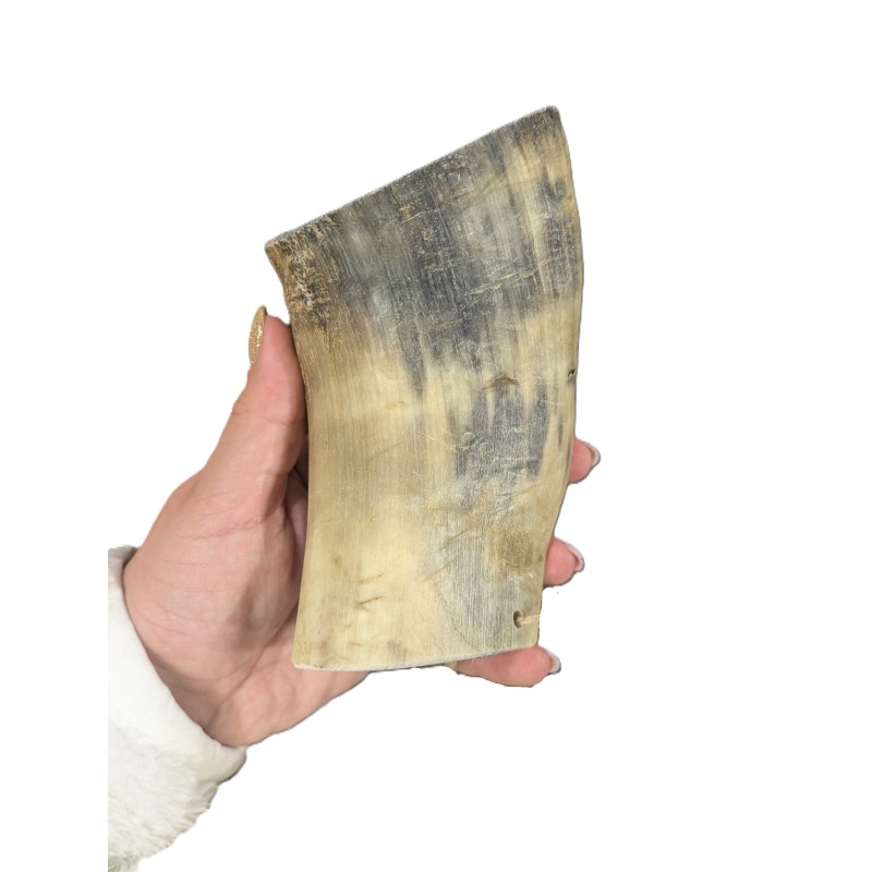 Corne de vache S pour chien