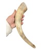 Corne de vache M