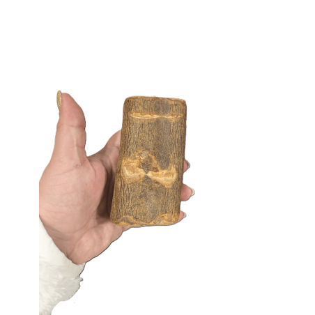 Bois d'olivier S brut pour chien