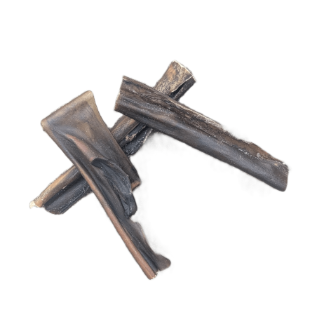 Peau de cerf 15 cm mastication chien