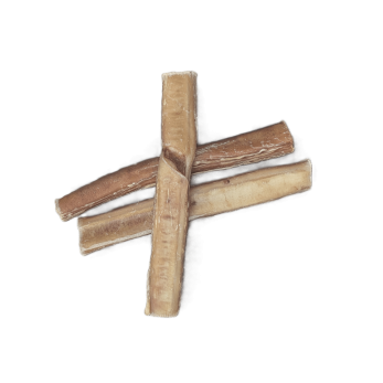 Nerf de bœuf mastication chien