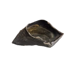 Sabot de boeuf mastication pour chien