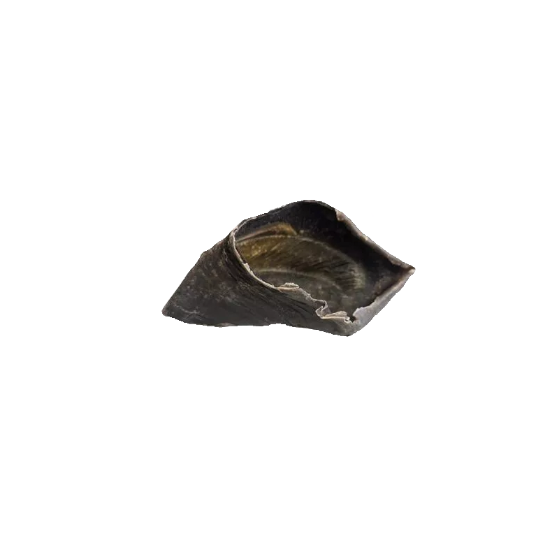 Sabot de boeuf mastication pour chien