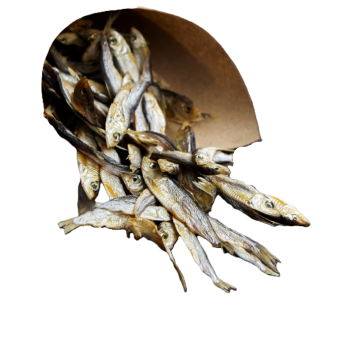 Sprats séchés récompense chien et chat