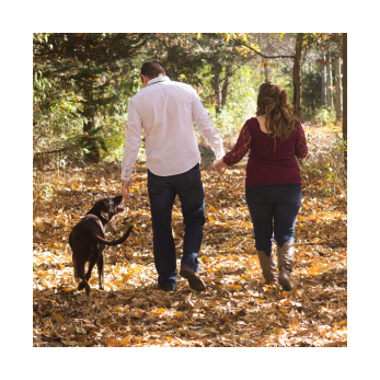 Couple travaillant leur chien en forêt