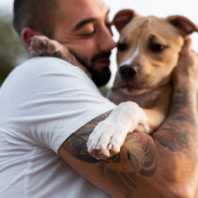 SURMONTER LES DÉFIS POUR FAVORISER UNE RELATION HARMONIEUSE - Adopter et éduquer grâce au renforcement positif pour une relation solide