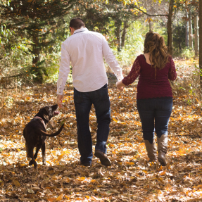 Image d'un couple, une femme et un homme se tenant par la main, lors d'une balade en forêt avec leur chien un labrador noir