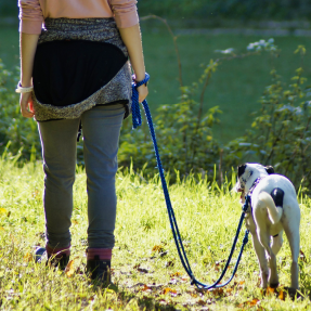 image d'une propriétaire et de sa chienne, blanche et noire de taille moyenne, qui marchent côte à côte la chienne marche en laisse détendue pendant un cours d'éducation canine - L'éducation à tous âges