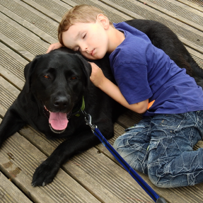 Un jeune garçon faisant un câlin à un labrador noir qui est couché - Une approche pédagogique complète pour prévenir les morsures